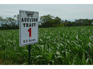 Property photo 122 - LAND AUCTION - 215+/- ACRES OFFERED IN 6 TRACTS IN VAN WERT COUNTY, OHIO